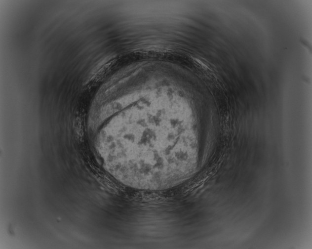 X0000096950774200802291055