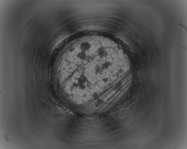 X0000096950775200802291055