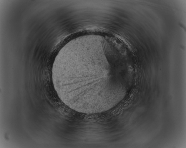 X0000096950776200802291055