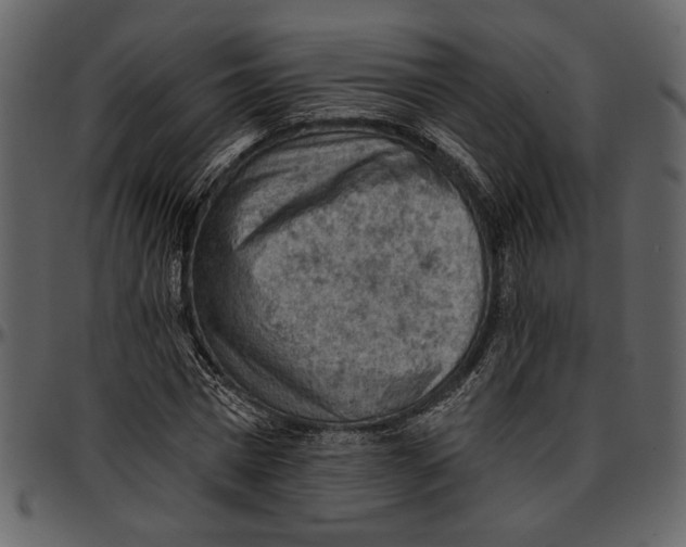 X0000096950777200802291055