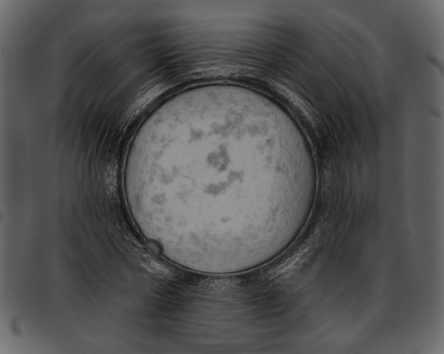 X0000096950778200802291055