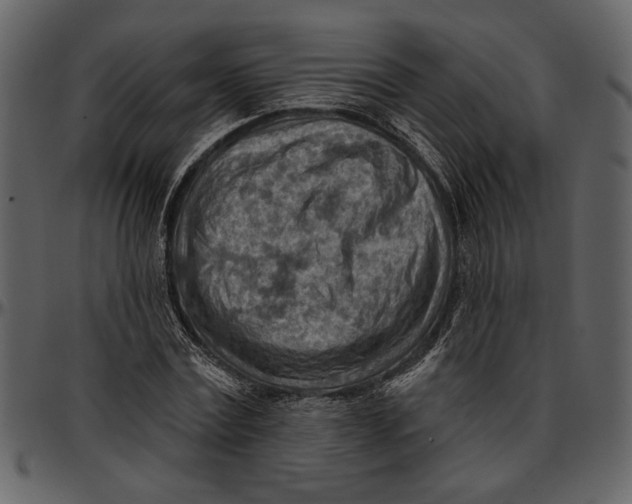 X0000096950779200802291055