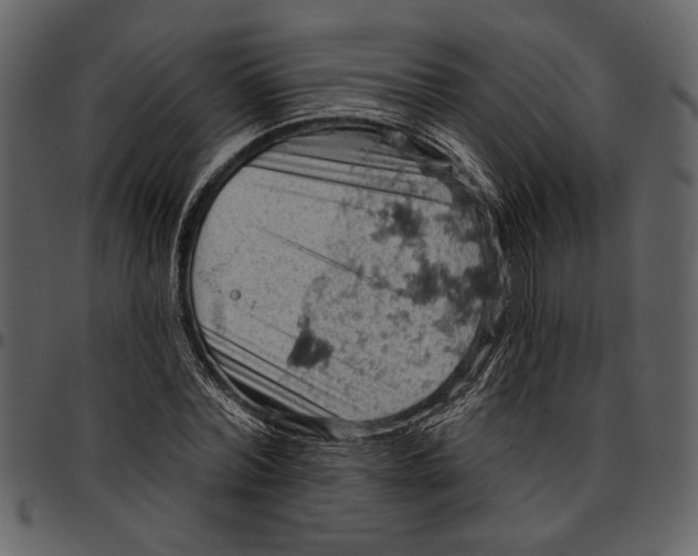 X0000096950780200802291055