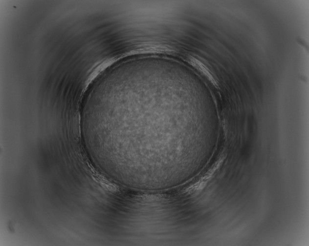 X0000096950781200802291055