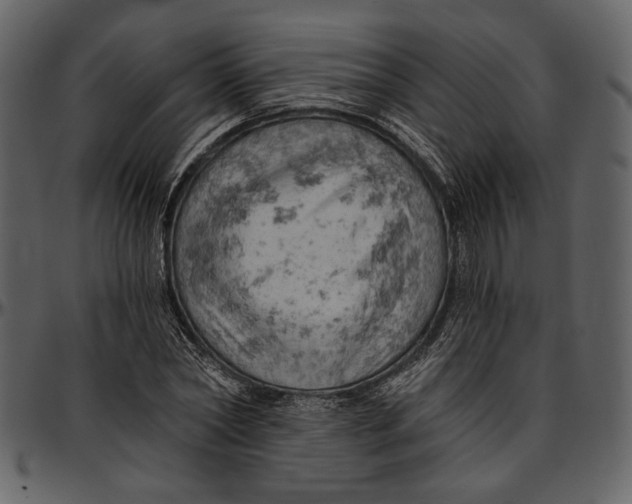 X0000096950782200802291055