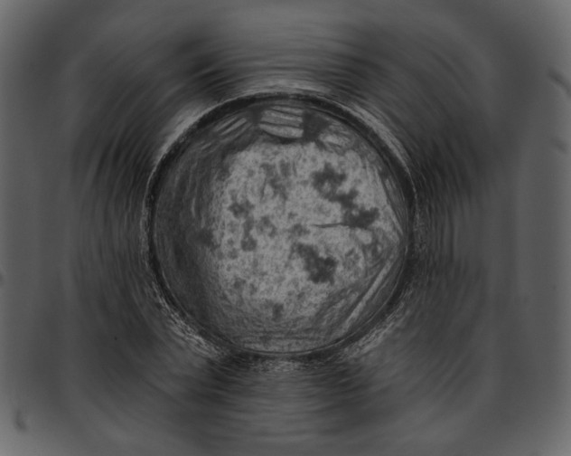 X0000096950783200802291055