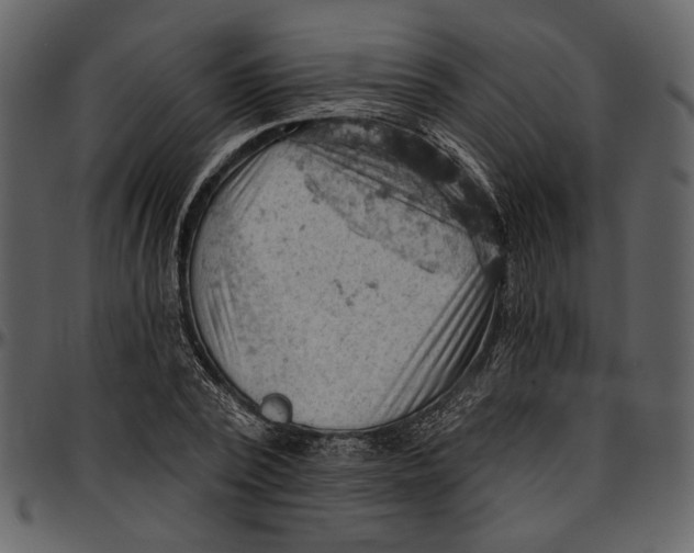 X0000096950784200802291055