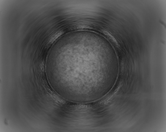 X0000096950785200802291055