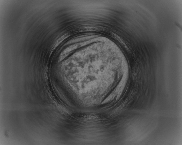 X0000096950786200802291055