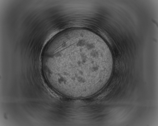 X0000096950787200802291055