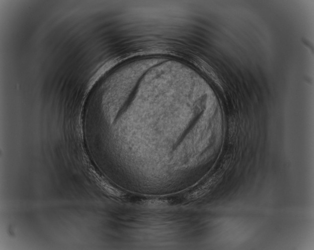 X0000096950789200802291055