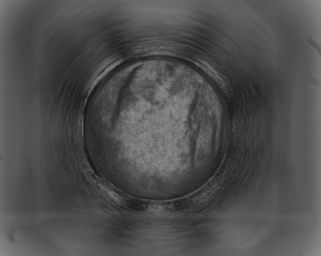 X0000096950790200802291055