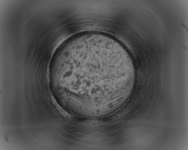 X0000096950791200802291055