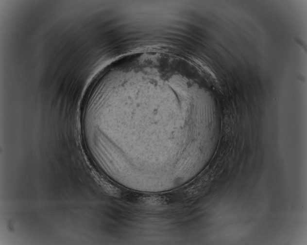 X0000096950792200802291055