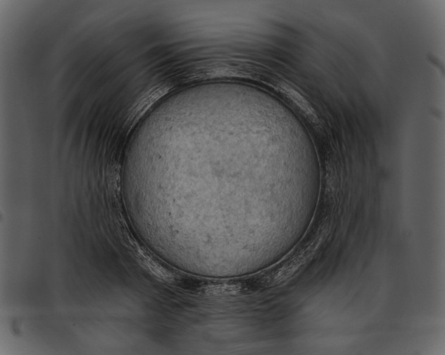 X0000096950793200802291055