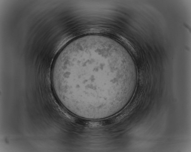 X0000096950794200802291055