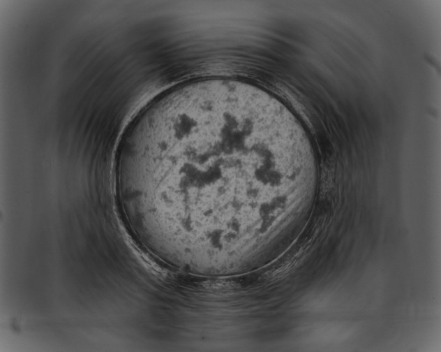 X0000096950795200802291055