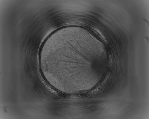 X0000096950796200802291055