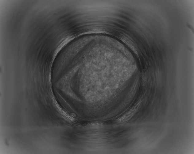 X0000096950797200802291055