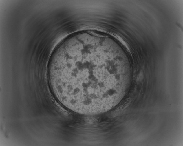 X0000096950799200802291055