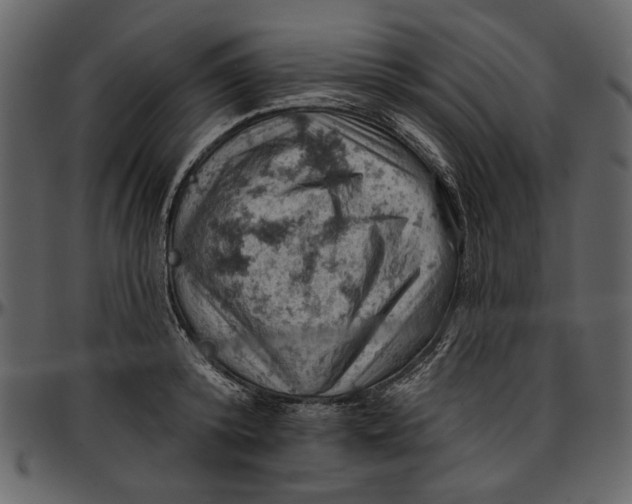 X0000096950800200802291055