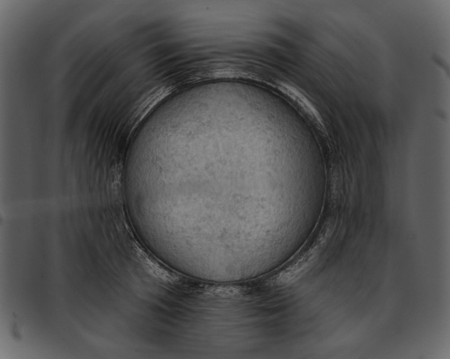 X0000096950801200802291055