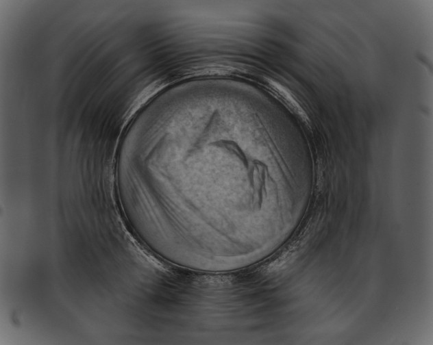 X0000096950802200802291055