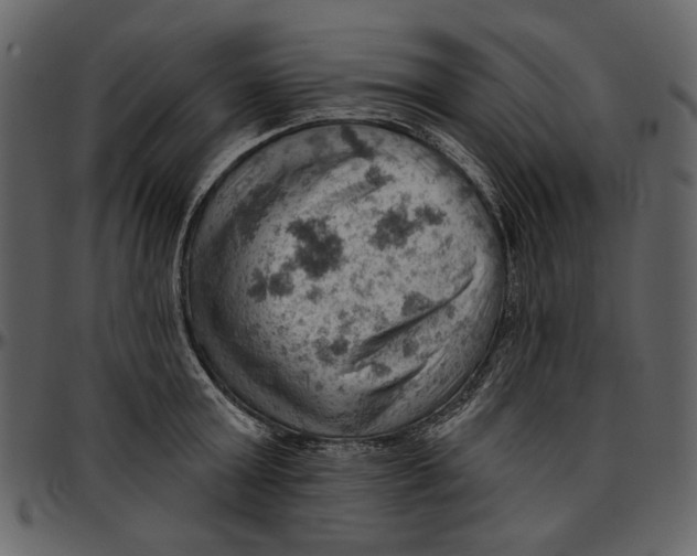 X0000096950803200802291055