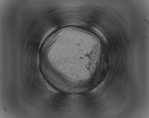 X0000096950804200802291055