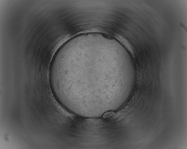 X0000096950805200802291055