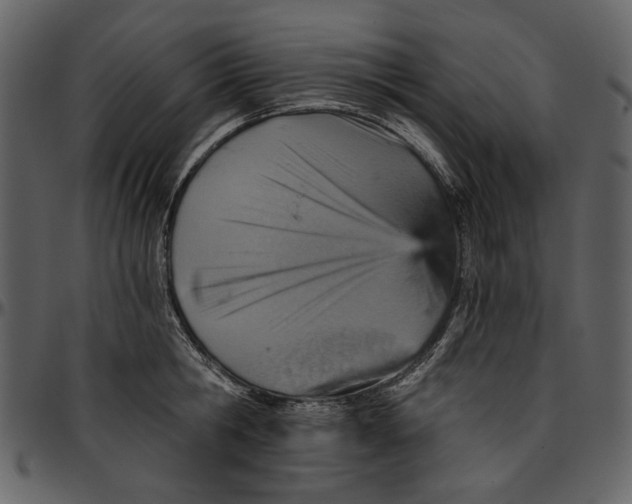 X0000096950806200802291055