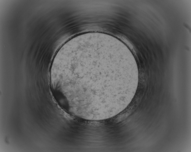 X0000096950807200802291055