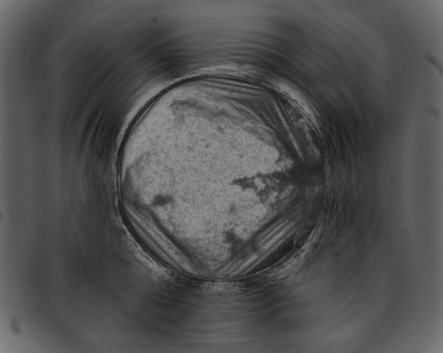 X0000096950808200802291055