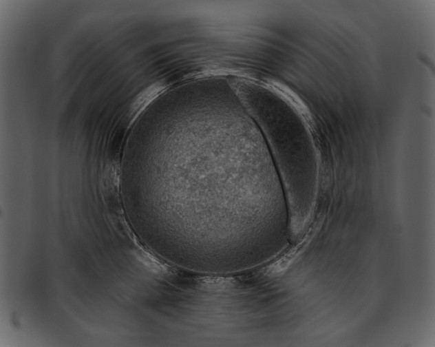 X0000096950809200802291055