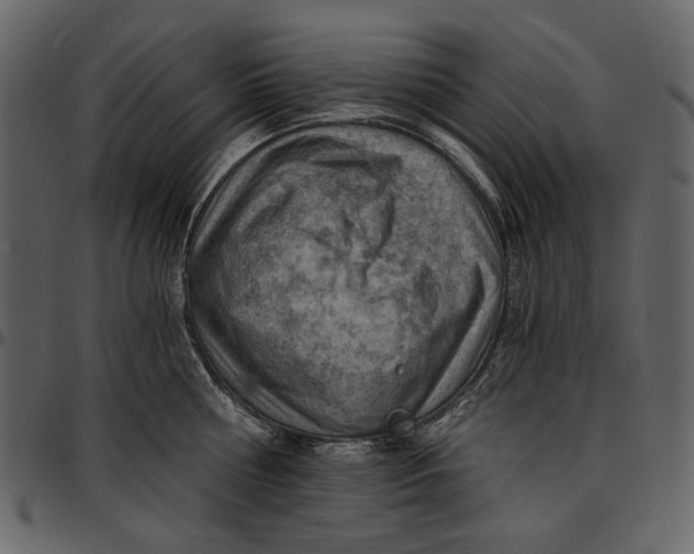 X0000096950810200802291055