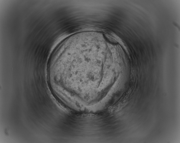 X0000096950811200802291055