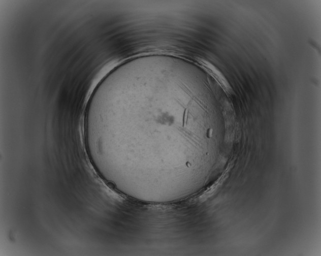 X0000096950812200802291055