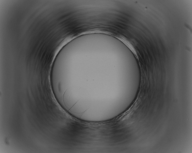 X0000096950813200802291055