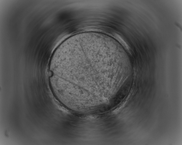 X0000096950814200802291055