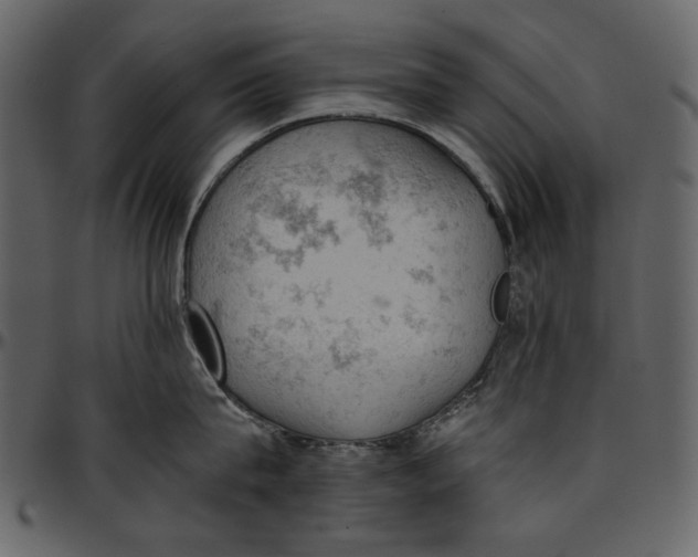 X0000096950815200802291055