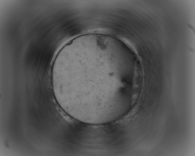 X0000096950816200802291055