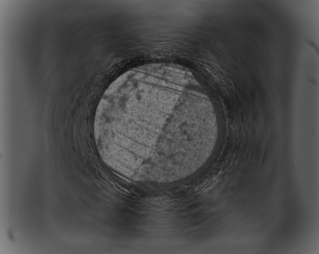 X0000096950817200802291054