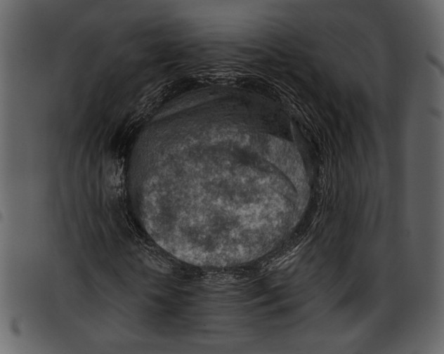 X0000096950818200802291054