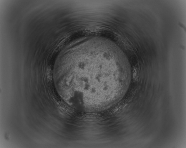 X0000096950819200802291054