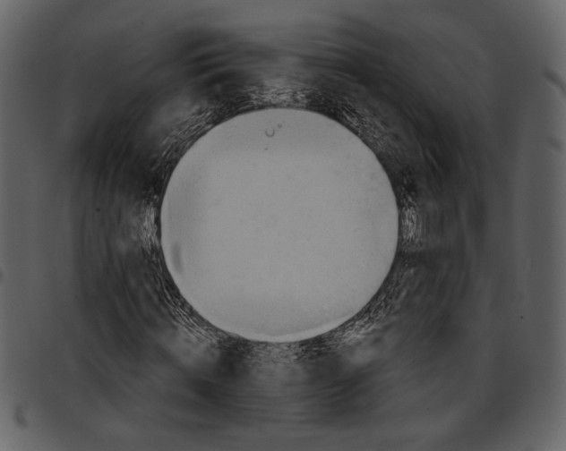 X0000096950820200802291054