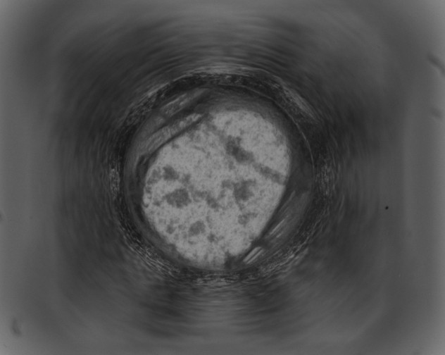 X0000096950821200802291054