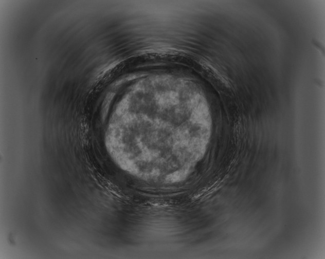 X0000096950822200802291054