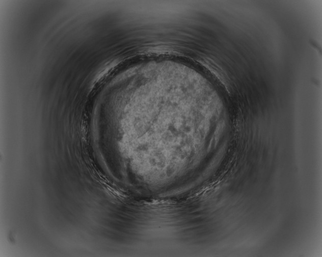 X0000096950823200802291054