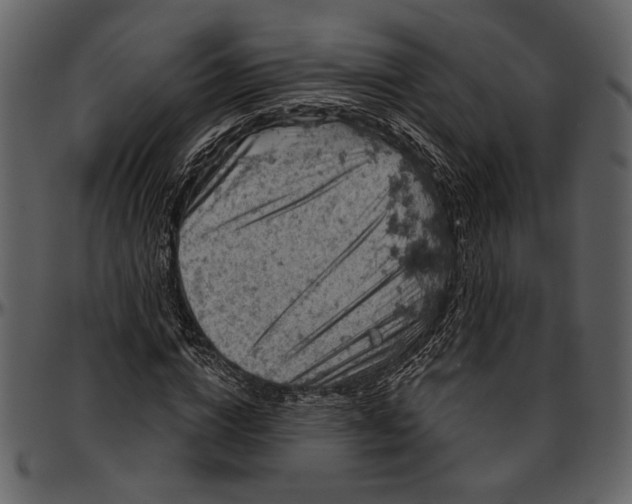 X0000096950824200802291054