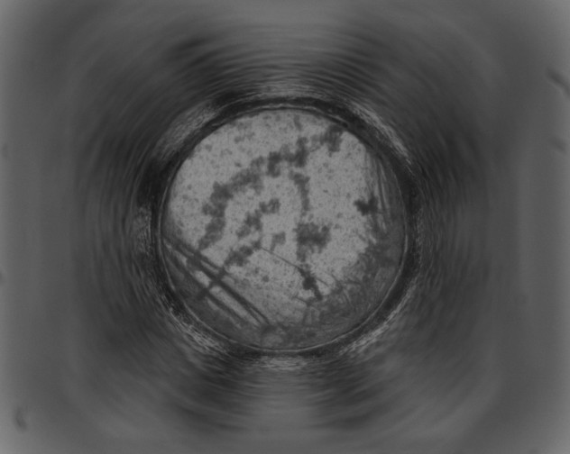 X0000096950825200802291054